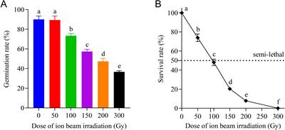 Biological responses of an elite centipedegrass [Eremochloa ophiuroides (Munro) Hack.] cultivar (Ganbei) to carbon ion beam irradiation